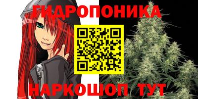 ECSTASY Чапаевск