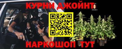 ECSTASY Чапаевск