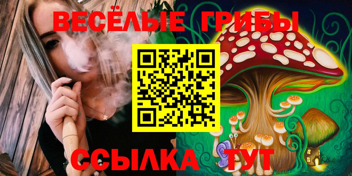 Галлюциногенные грибы MAGIC MUSHROOMS Новоалтайск